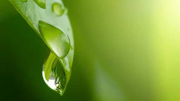 Environmental